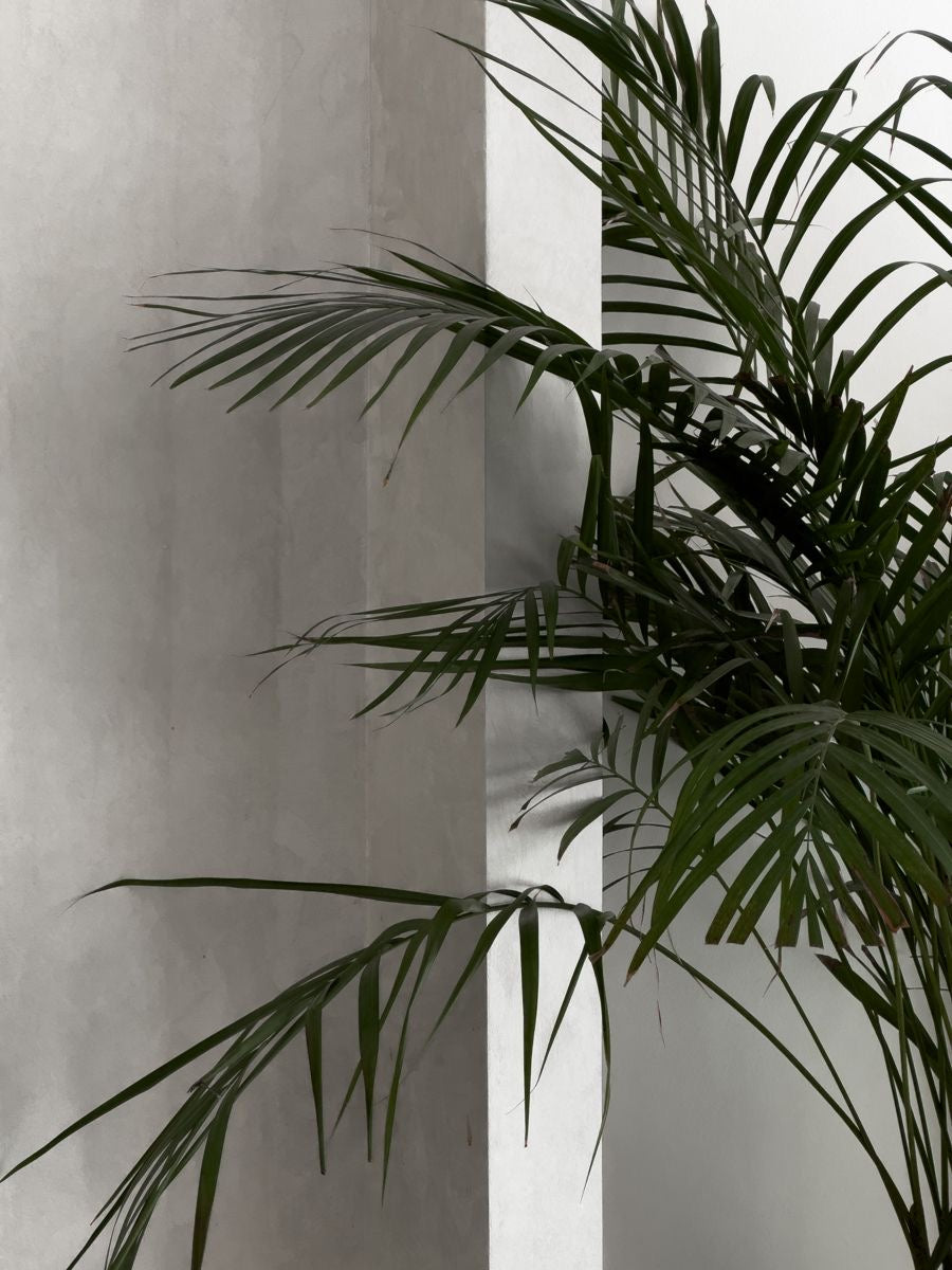 From Scroll to Sale: The Power of Social Commerce & Shoppable Content