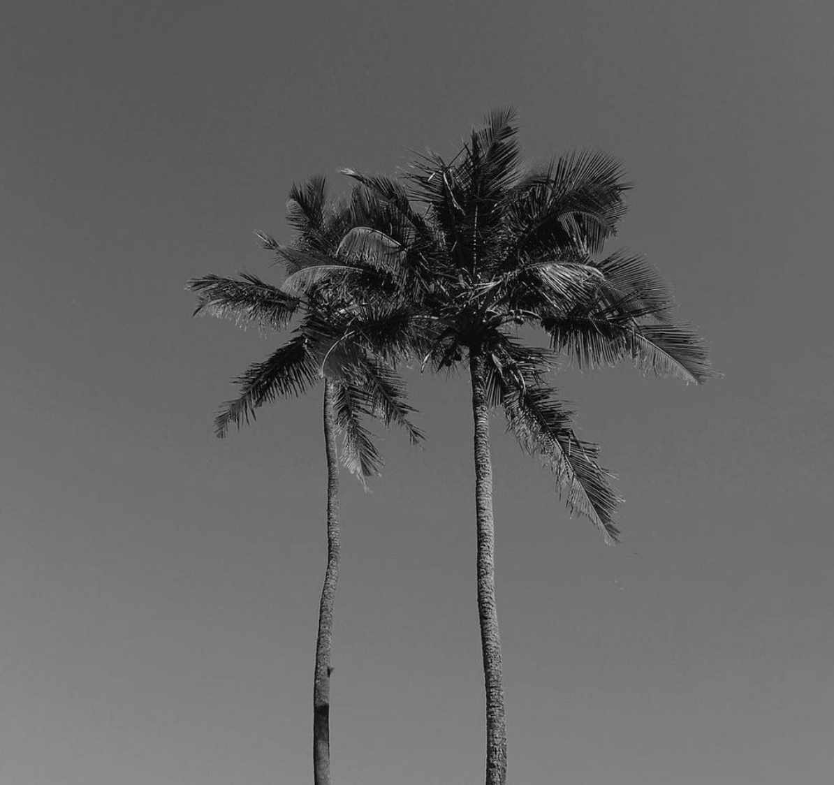 Brand Strategy 101: How To Develop Your Brand Strategy and Why it is Important ✨